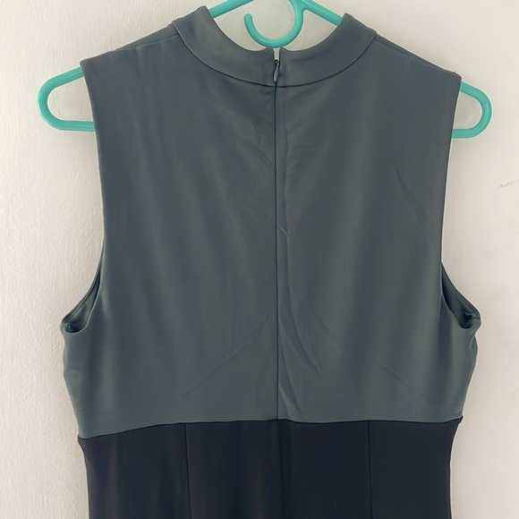 Large Express Faux Turtleneck Color Block Dress - Picture 5 of 5